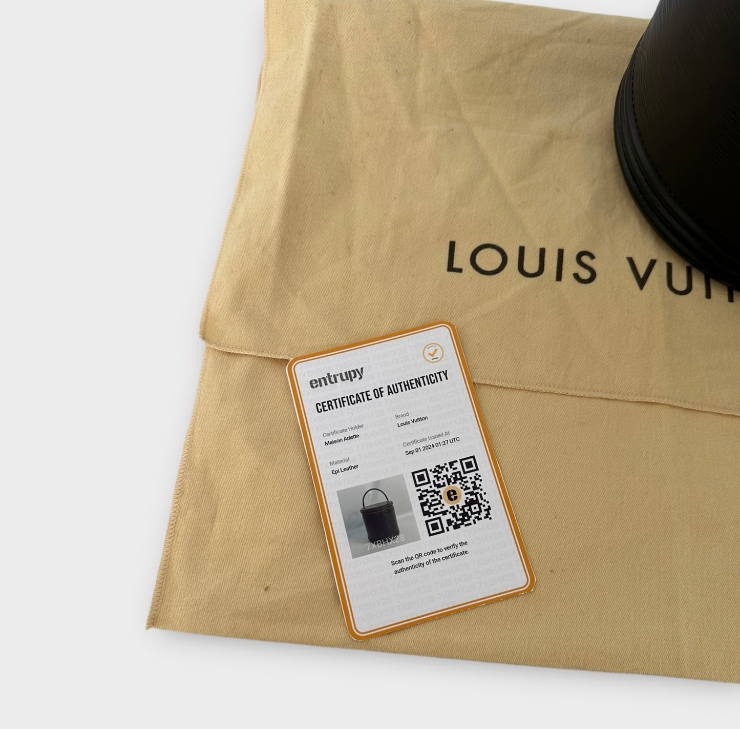Louis Vuitton sac Cannes cuir Épi