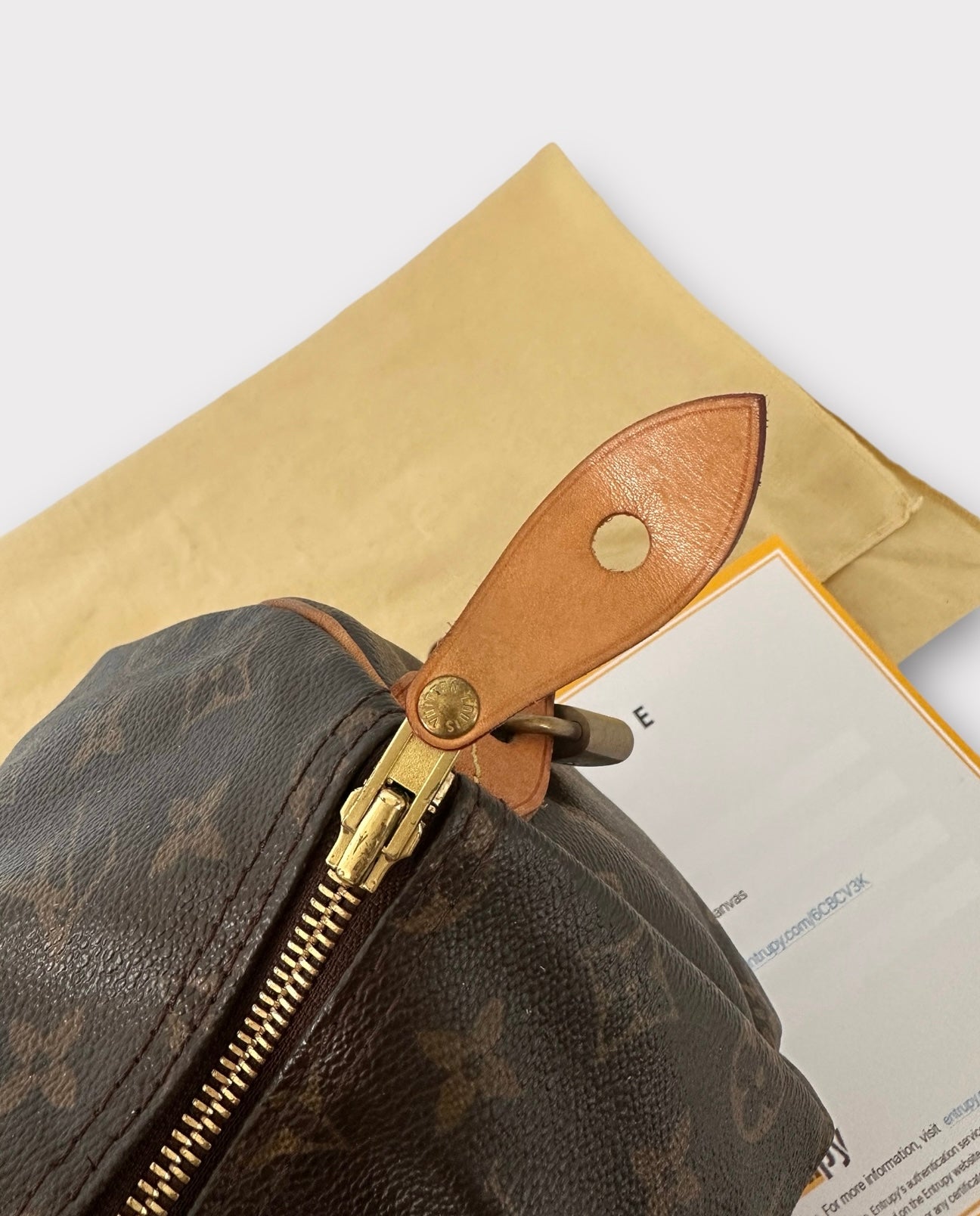 Sac Speedy 35 Monogram Louis Vuitton