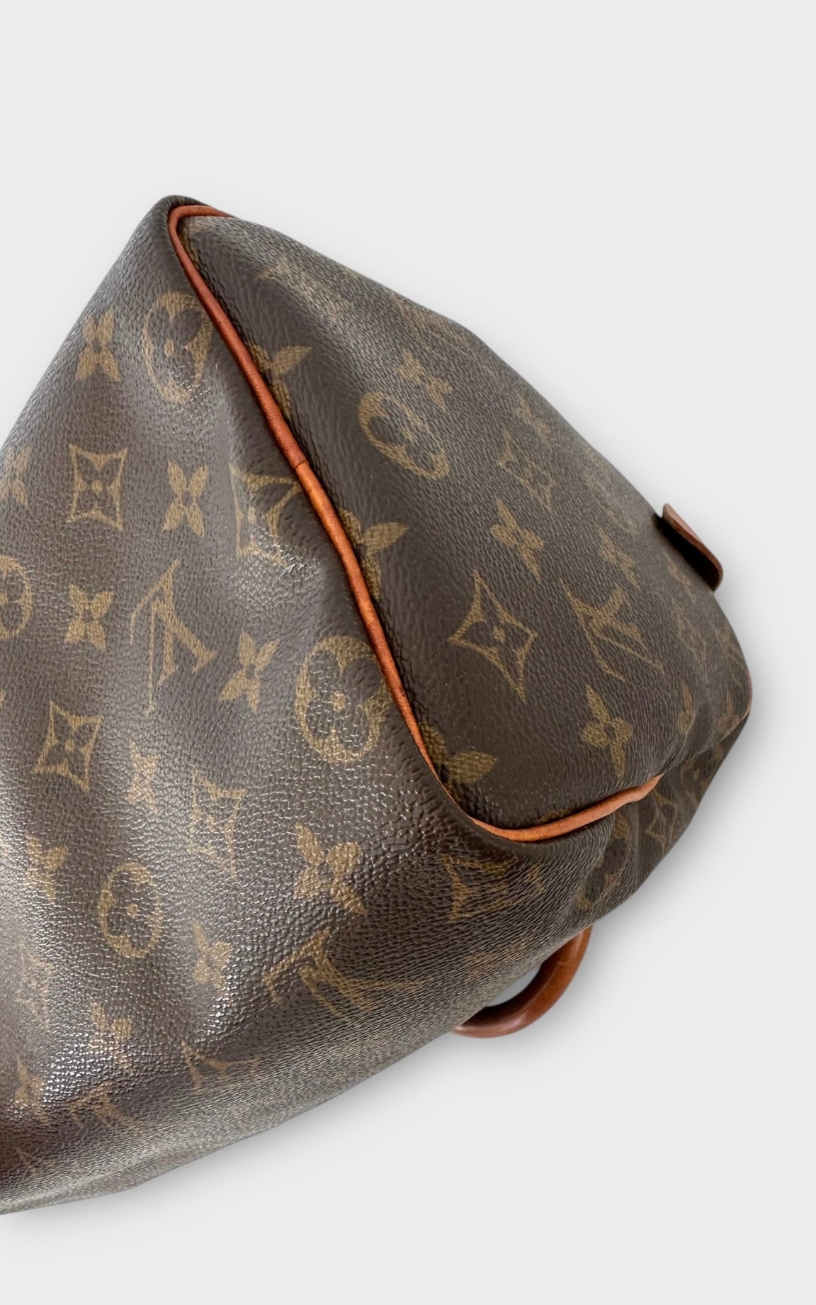 Louis Vuitton Sac Speedy 25 Monogram