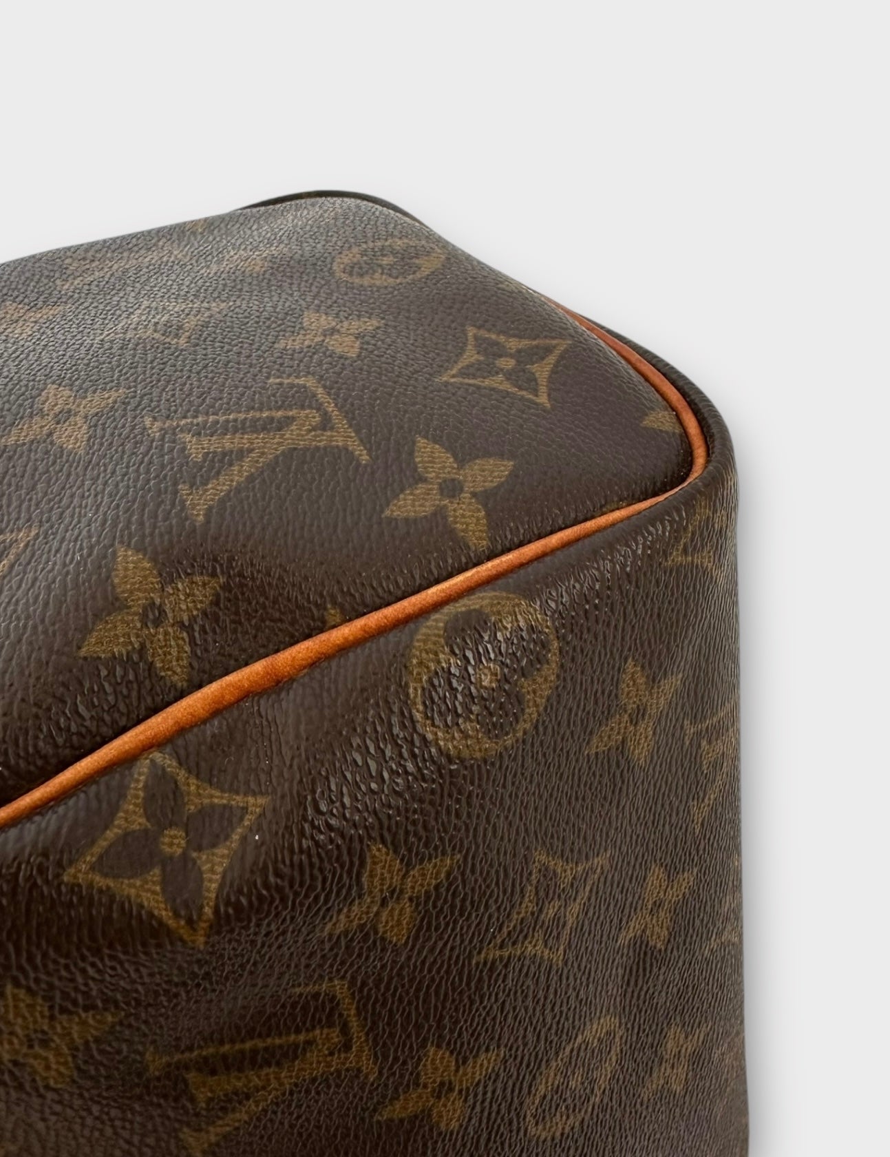 Louis Vuitton Sac Speedy 25 Monogram