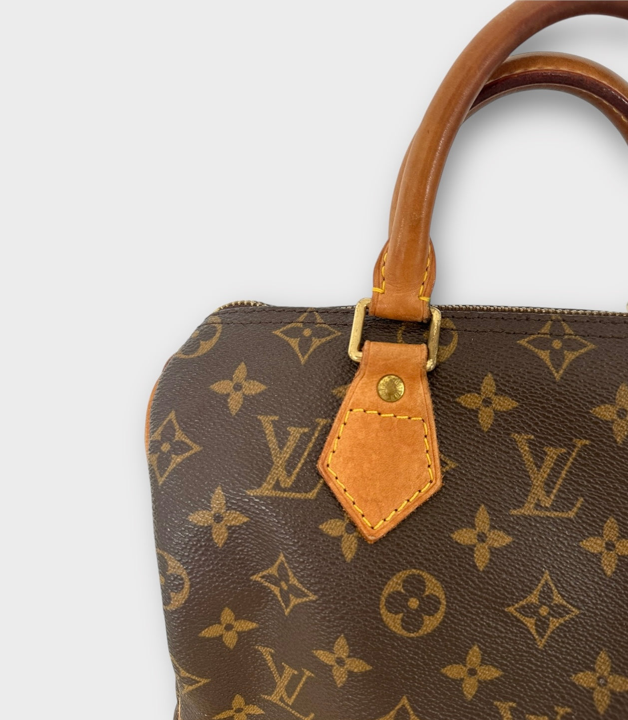 Louis Vuitton Sac Speedy 25 Monogram