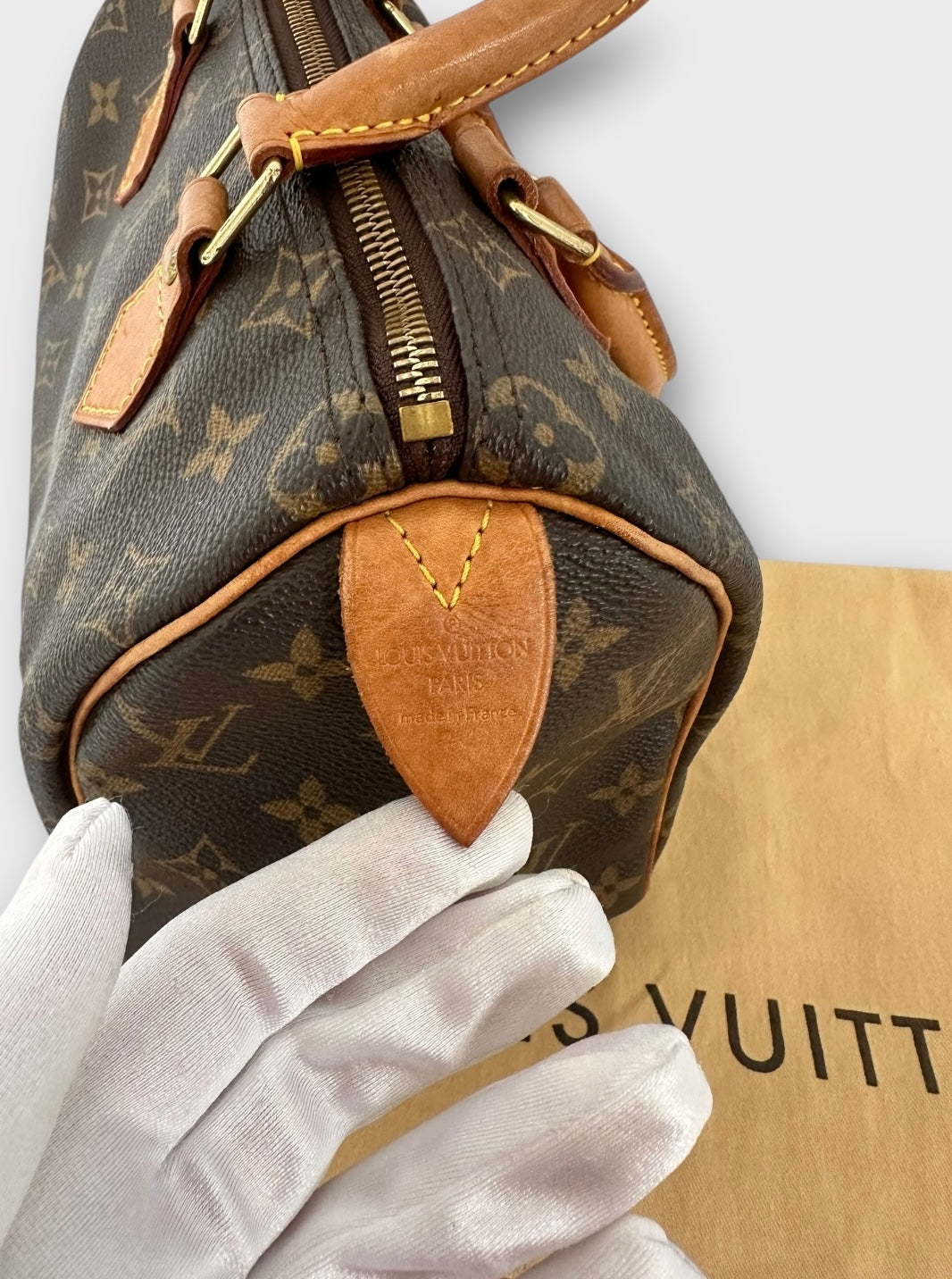 Louis Vuitton Sac Speedy 25 Monogram