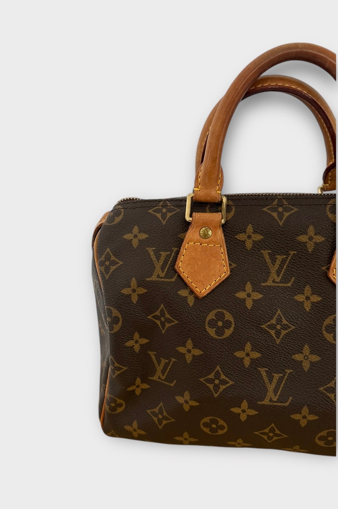 Louis Vuitton Sac Speedy 25 Monogram