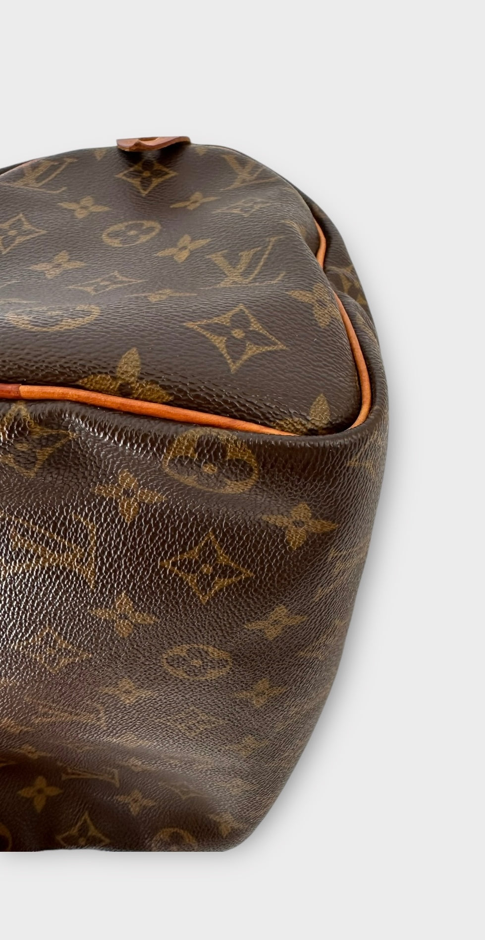 Louis Vuitton Sac Speedy 25 Monogram