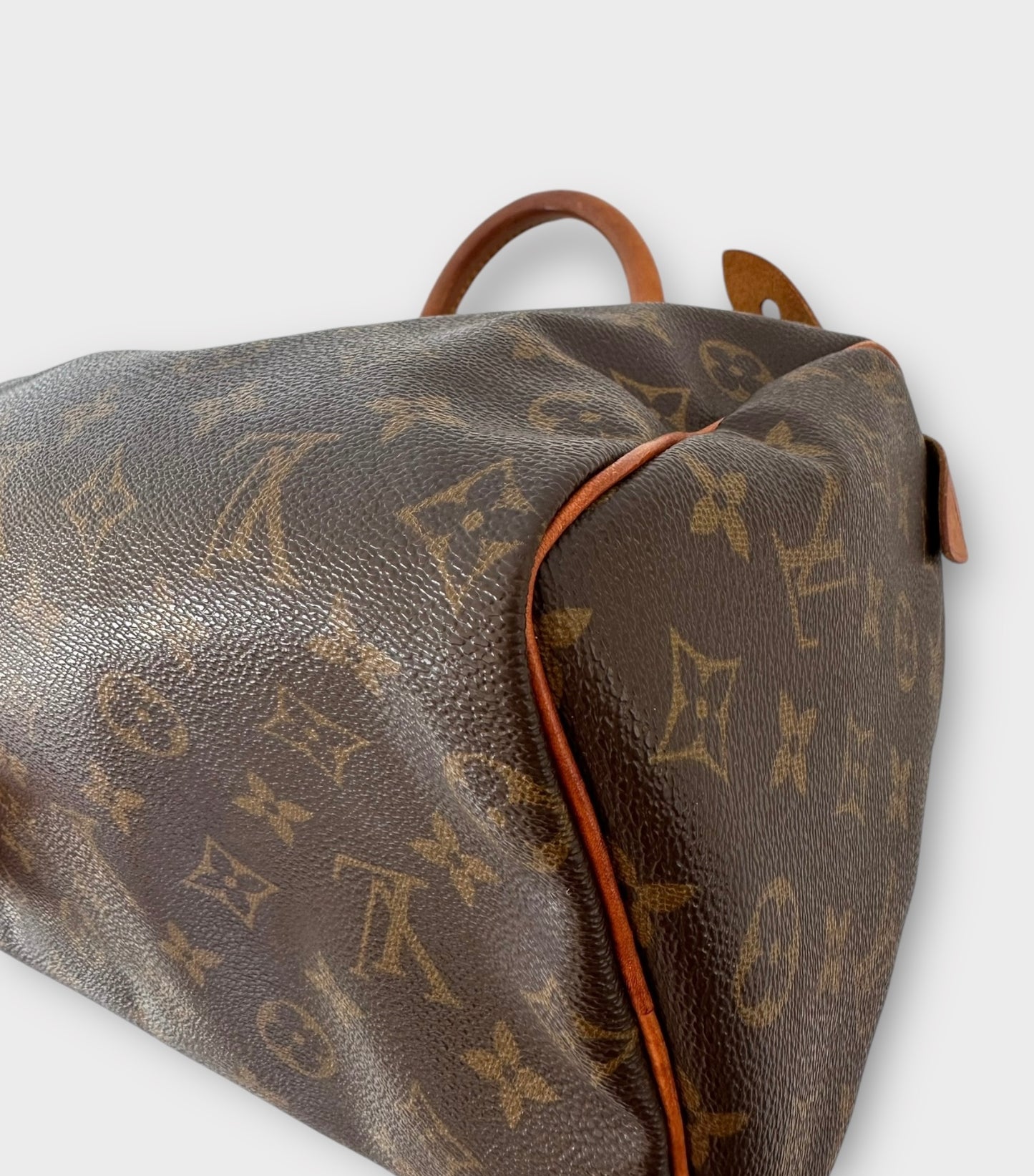 Louis Vuitton Sac Speedy 25 Monogram