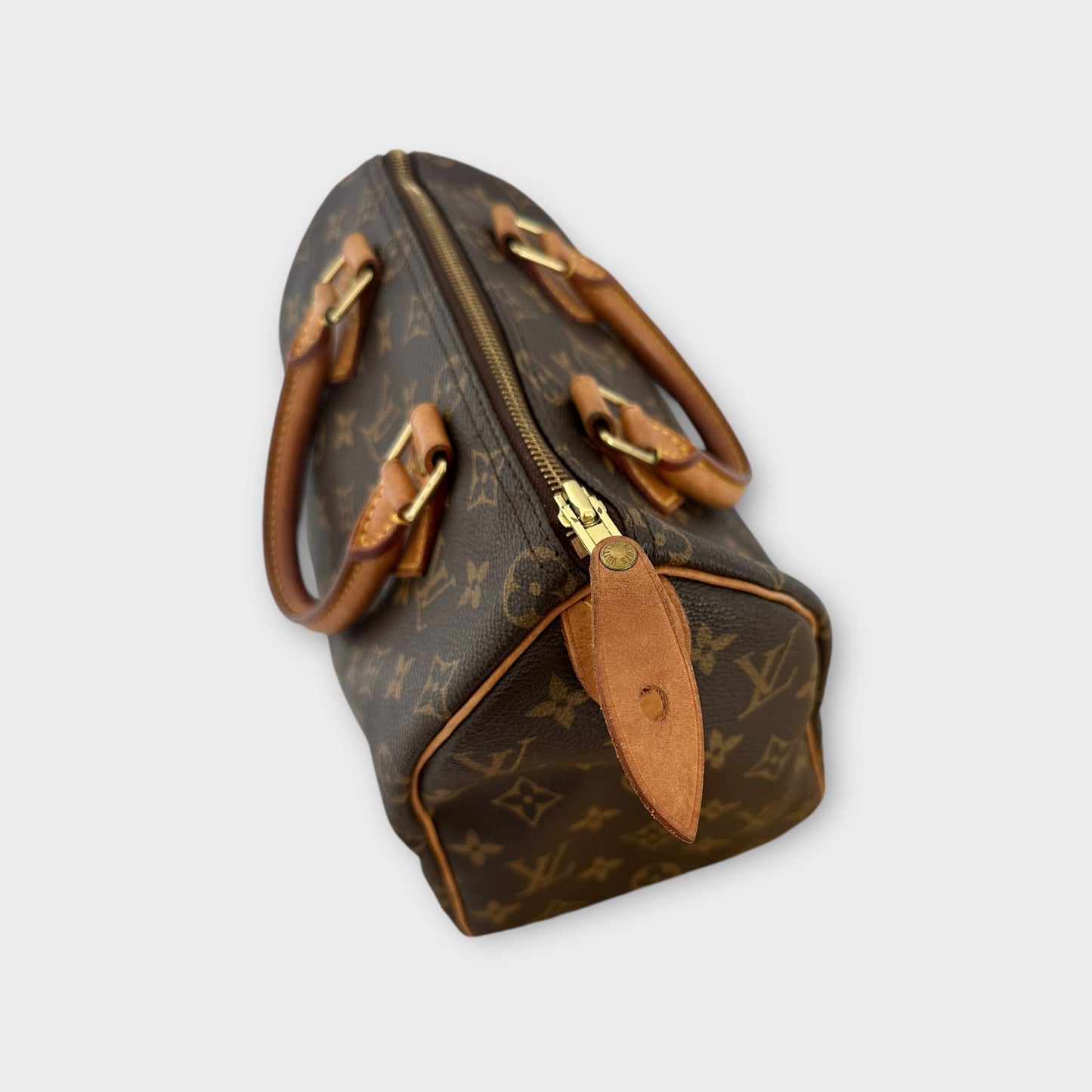 Louis Vuitton Sac Speedy 25 Monogram