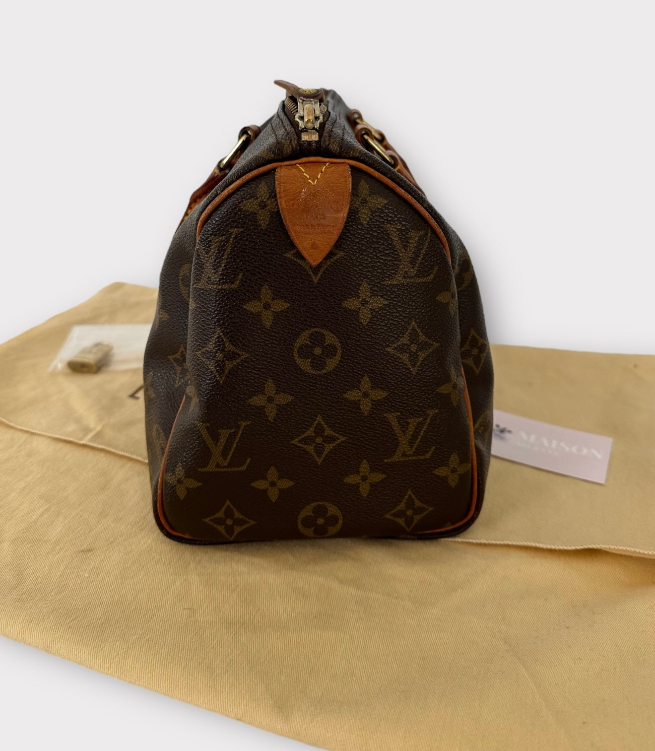 Louis Vuitton Sac Speedy 25 Monogram