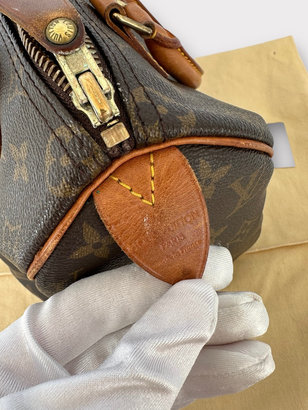 Louis Vuitton Sac Speedy 25 Monogram