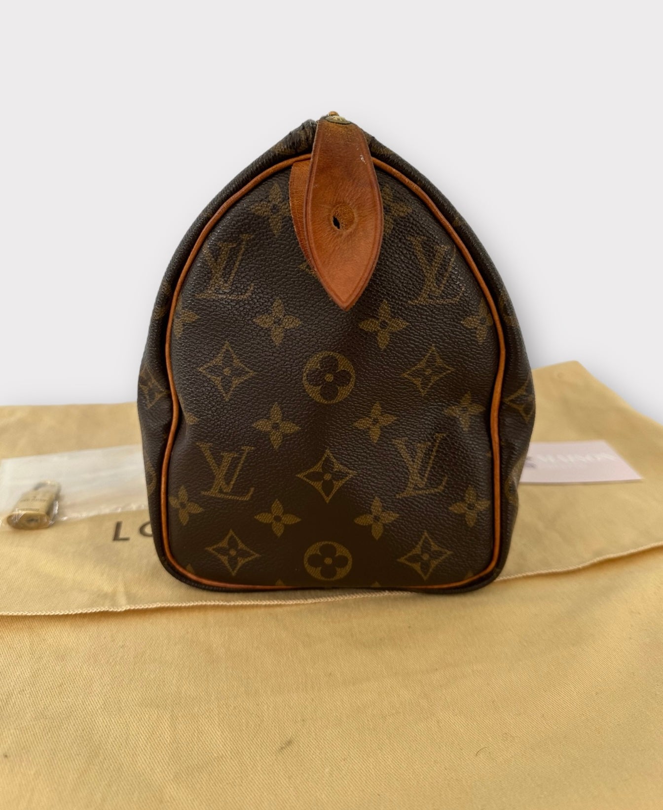 Louis Vuitton Sac Speedy 25 Monogram